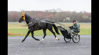 2025 USTrotting Top Contenders -