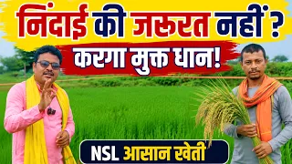 NSL आसान खेती का करगा मुक्त धान 🌾 | लंबी, मध्यम और छोटी अवधि की किस्में | NuZiveedu Seeds