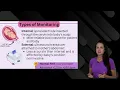 Fetal Heart Rate Monitoring Nursing NCLEX: Accelerations, Decelerations - Early, Variable, Late