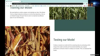 Corn Leaf Disease Detector AI Camp 2021