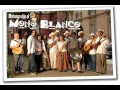El mundo se va a acabar - Mono Blanco