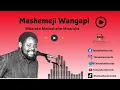 Download Lagu Mashemeji Wangapi by Mbaraka Mwinshehe
