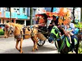 Download Lagu Naik delman istimewa~lagu anak populer Indonesia~bangun tidur ku terus mandi 