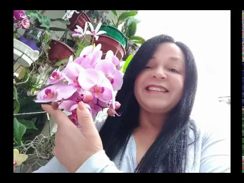ADUBO ORGÂNICO TORTA DE ALGODÃO PARA ORQUÍDEAS