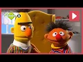 Download Lagu 15 MINUTEN BERT \u0026 ERNIE | Sesamstraat | NPO Zappelin