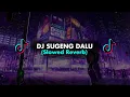 Download Lagu DJ SUGENG DALU SLOWED REVERB