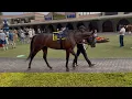 Baffert Debuts Two Maiden Colts Including a Foal of Champion Sprinter Gamine