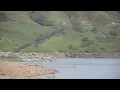 Clovis man identified as body found in Millerton Lake s say