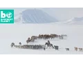 Download Lagu Extreem leven: een kijkje in de slopende lentemigratie van Mongoolse nomaden