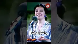 حبايبنا عاملين ايه في الغربة وأخباركم إيه Shorts Youtubeshorts Shorts 