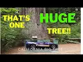 Top things to do in Crescent City California