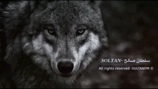 معزوفه استكنان البانيه 2024 بطيء 