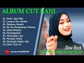 Download Lagu CUT RANI - RINDU TAPI MALU - FULL ALBUM TERBAIK 2025 || LAGU SLOW 2025#ontrending.