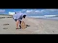 Surfs Up HIGHTOWER BEACH Florida