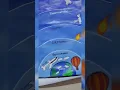 Layer Of Atmosphere