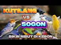 Download Lagu PIKAT BURCIL Kombinasi Sogon,Kutilang Ribut Dan Prenjak Lumut mp3 ini sangat MAUT ANTI ZONK