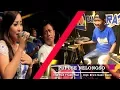 Download Lagu Vita Kdi Feat. Cak Rull - Pupuse Nelongso | Dangdut [OFFICIAL]