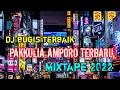 Download Lagu DJ BUGIS PAKKULIA AMPORO SPECIAL TERBARU 2022