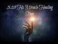 Lagu 528Hz Calm Down Anxiety - Stop Inner Conflict, Overthinking, Worry | Let Go Of Destructive Energy