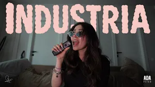 Ada Petcu - Industria