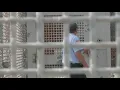 Concerns Over Staffing in Local Prisons