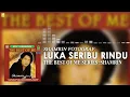 Shamrin Fotograf - Luka Seribu Rindu (Official Audio)