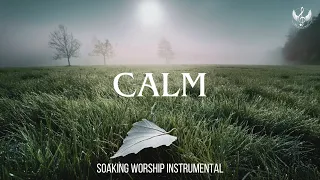 Calm - Soaking Worship Instrumental | Prayer and Devotional