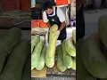 Amazing! The Longest Fruit in The World - Winter Melon Cutting for Drinks