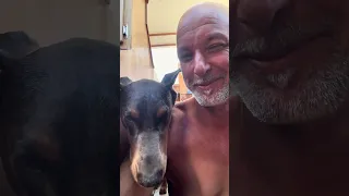 #fyp #dream #doberman #pets #youtube