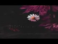 Kupla - All Natural Full EP