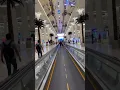 Lagu Passenger's Announcement Dubai Airport✈️ #happy #dubailife #memorable #shortvideo