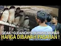 Download Lagu UPDATE ! CARI2 CENDET GONDRONG MURAH HARGA DI BAWAH PASARAN PASAR BURUNG PRAMUKA LEWAT DULU YA