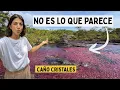 LA REALIDAD detrás del RÍO DE COLORES más lindo del MUNDO - Caño Cristales