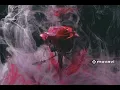 Imminence - Infectious