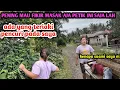SAAT PETIK SAYUR .SAYA DI TERIAKI PENCURI.. PENCURI..