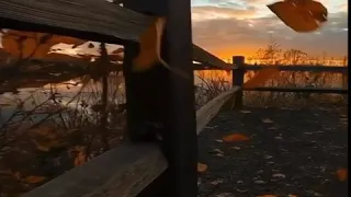 عمر الدريويز كل من عليها فان حالات واتس انستقرام ايات قصيرة 