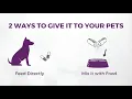 Visbiome Vet high potency probiotic for pets