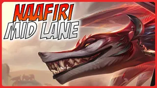 3 Minute Naafiri Guide - A Guide for League of Legends