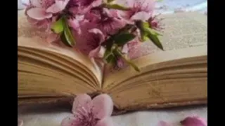 Plano de leitura anual da bíblia/2024 - 24/08 - NVT
