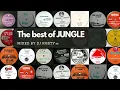 Download Lagu The Best of Jungle mixed by Dj Rusty
