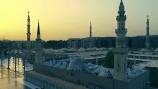 القصيدة التى لن تمل من تكرارها  وجه بدا فجلا    أحمد النفيس وعاصم العلاقمي    مونتاج  الصالح سلطاني دندنها