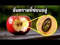 Download Lagu เคล็ดลับอาหารที่สามารถช่วยชีวิตและเงินของคุณได้