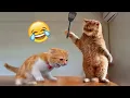 Download Lagu Funniest Animals 2024 🤣😅 New Funny Cats and Dogs Videos 😸🐶 Part