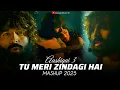 Download Lagu Tu Meri Zindagi Hai Mashup 2025 | Aashiqui 3 Mashup | Vishal Mishra Mashup | Mashup Official 1M