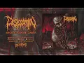 Download Lagu DESECATION - Infested With Gelatinous Gandreen