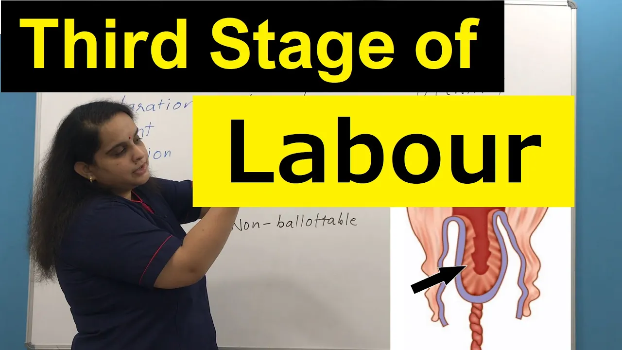 Third Stage of Normal Labour | Physiological Events & Clinical Significance | Nursing Lecture