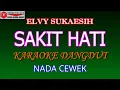 KARAOKE DANGDUT SAKIT HATI - ELVY SUKAESIH (COVER) NADA CEWEK