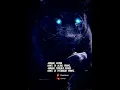 Download Lagu Panglima macan kumbang ll Dimanapun tempat pasti selamat #shorts #viral #short