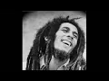 Hold Ya Head The Notorius B I G ft Bob Marley Clean DOWNLOAD LINK