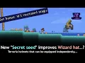 Terraria with helmets those don t fit with other What are those anyway